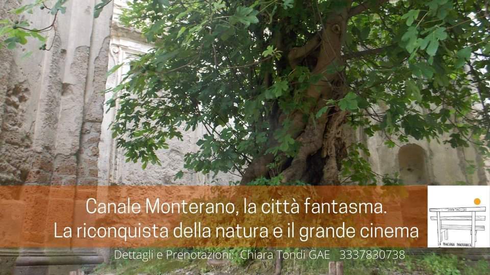Questa immagine ha l'attributo alt vuoto; il nome del file è 149382494_125337849468836_5680767665995243937_n.jpg